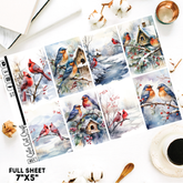 Winter Birds #318 || Full Boxes